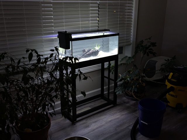Freshwater Tank